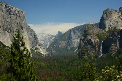 DSC_2349 (Large).JPG